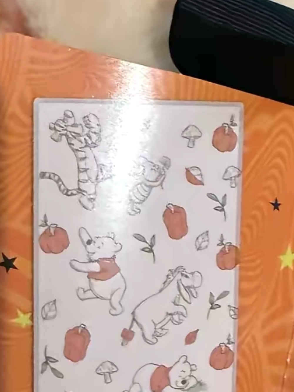 Disney Winnie the Pooh fall blanket